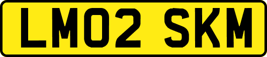 LM02SKM
