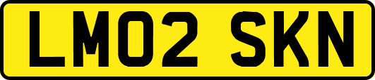 LM02SKN