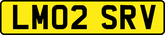 LM02SRV