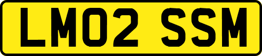 LM02SSM