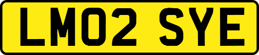 LM02SYE