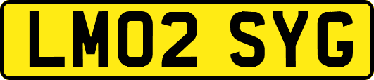 LM02SYG