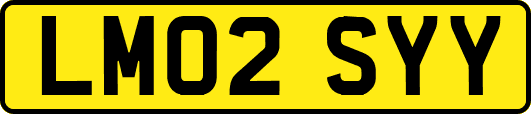 LM02SYY