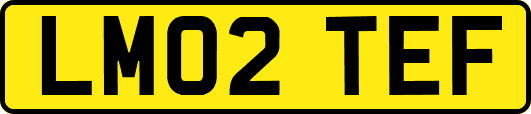 LM02TEF