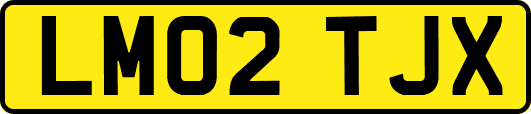 LM02TJX