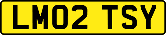 LM02TSY