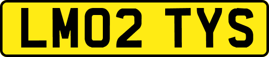 LM02TYS