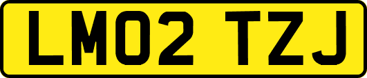 LM02TZJ