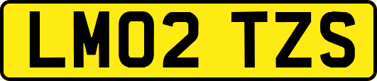 LM02TZS