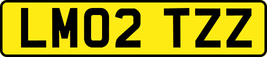 LM02TZZ