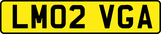 LM02VGA