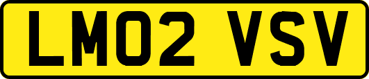 LM02VSV