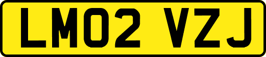 LM02VZJ