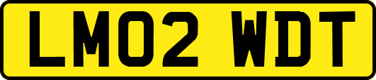 LM02WDT