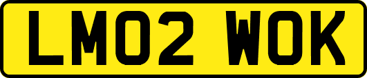 LM02WOK