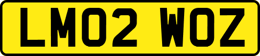 LM02WOZ