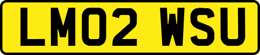 LM02WSU