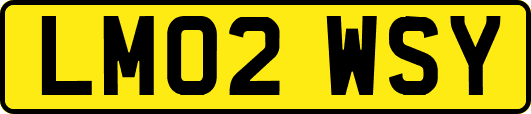 LM02WSY