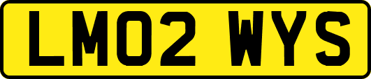 LM02WYS