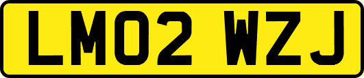 LM02WZJ