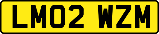 LM02WZM