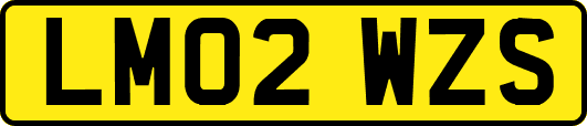 LM02WZS