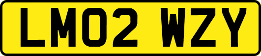 LM02WZY