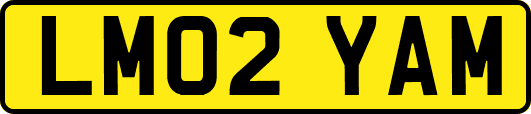 LM02YAM