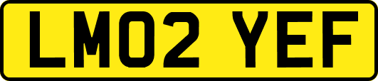 LM02YEF