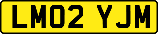 LM02YJM