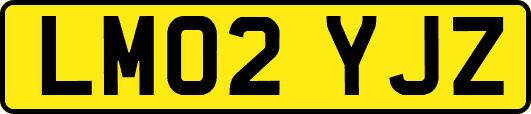 LM02YJZ