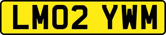 LM02YWM