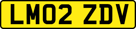 LM02ZDV
