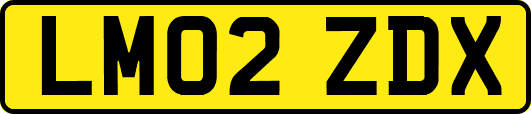 LM02ZDX