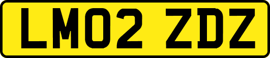LM02ZDZ