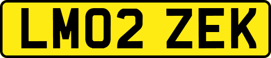 LM02ZEK
