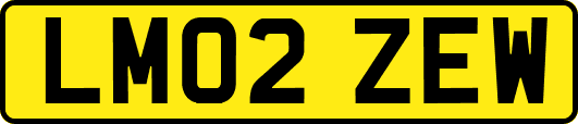 LM02ZEW