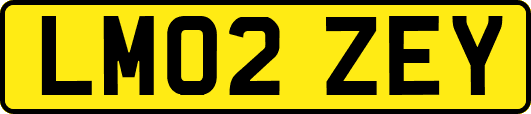 LM02ZEY