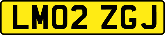 LM02ZGJ