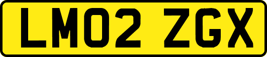 LM02ZGX
