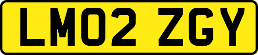 LM02ZGY