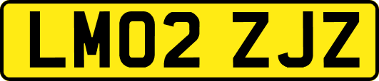 LM02ZJZ