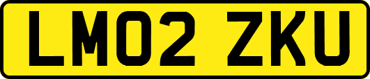 LM02ZKU