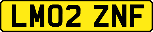 LM02ZNF