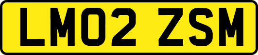 LM02ZSM