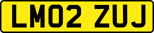 LM02ZUJ