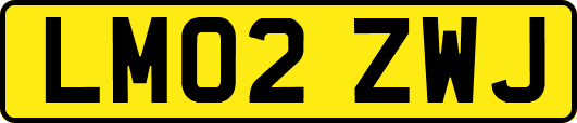 LM02ZWJ