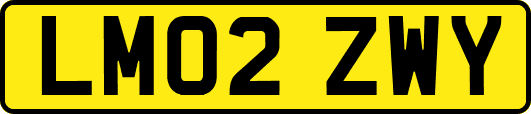 LM02ZWY