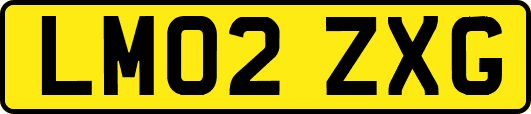 LM02ZXG