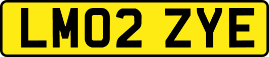 LM02ZYE